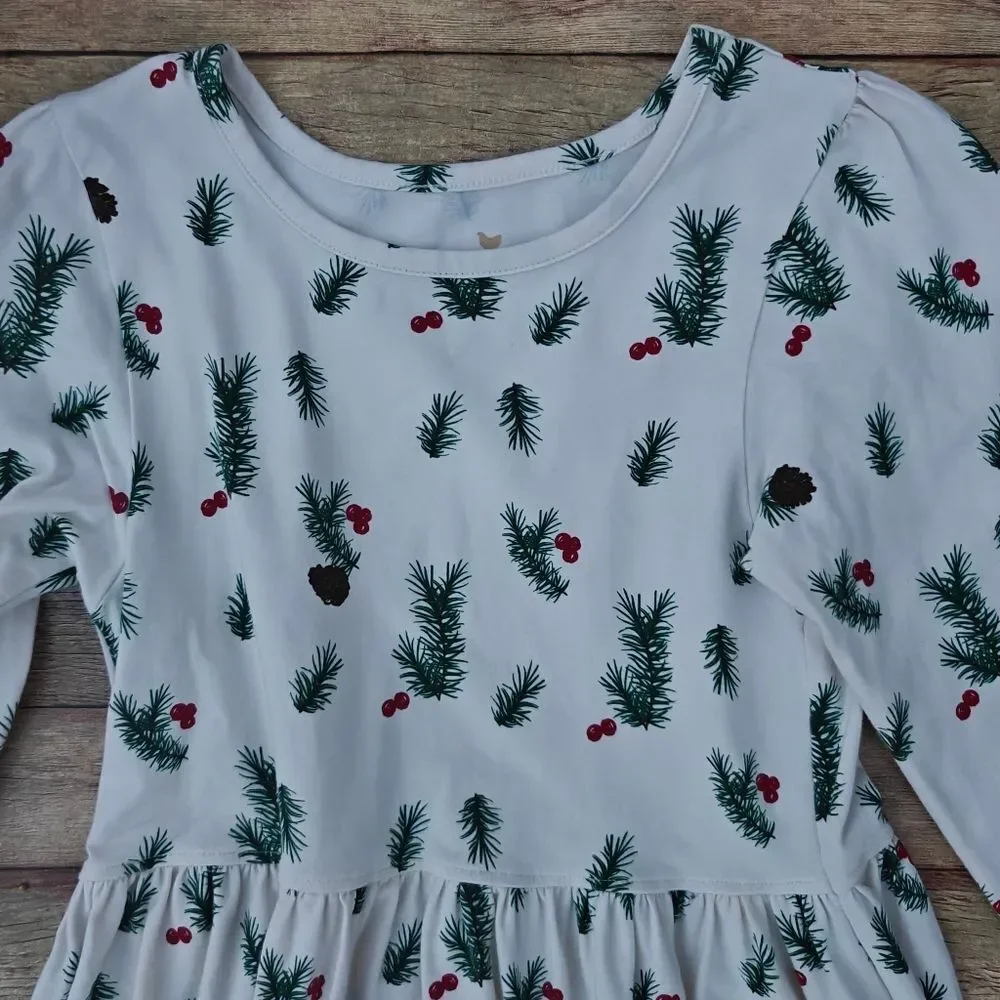 Pink Chicken New York Pine & Cranberry Organic Girls Dress Size 10